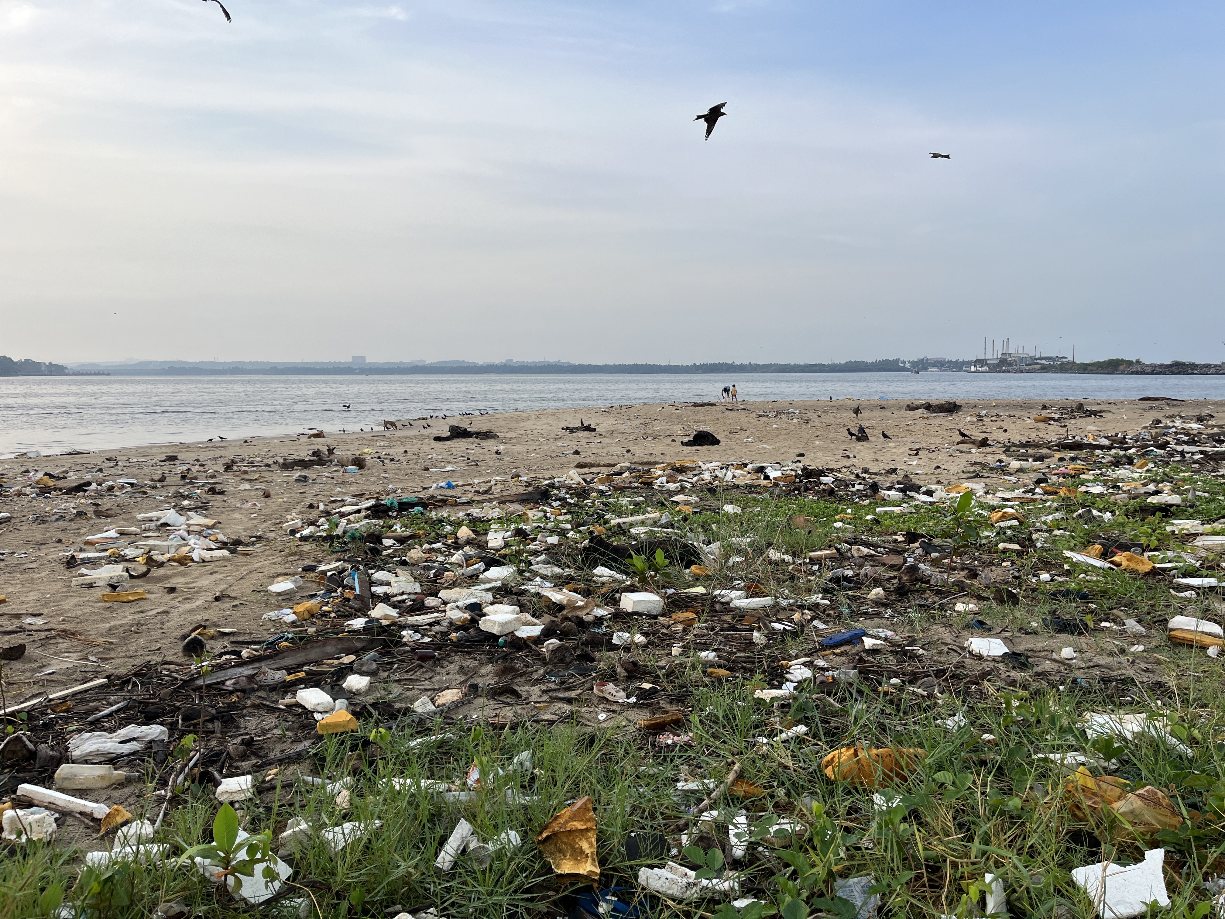 Polluted beach with plastic waste